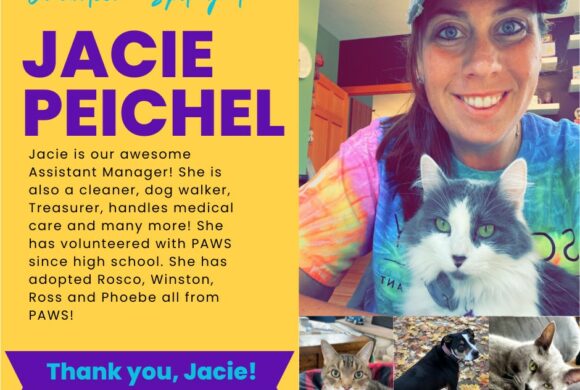 Jacie Peichel Jacie Peichel