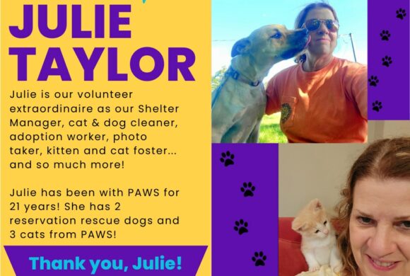 Julie Taylor Julie Taylor