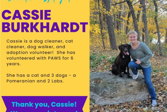 Cassie Burkhardt Cassie Burkhardt