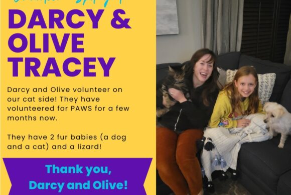 Darcy & Olive Tracey Darcy & Olive Tracey