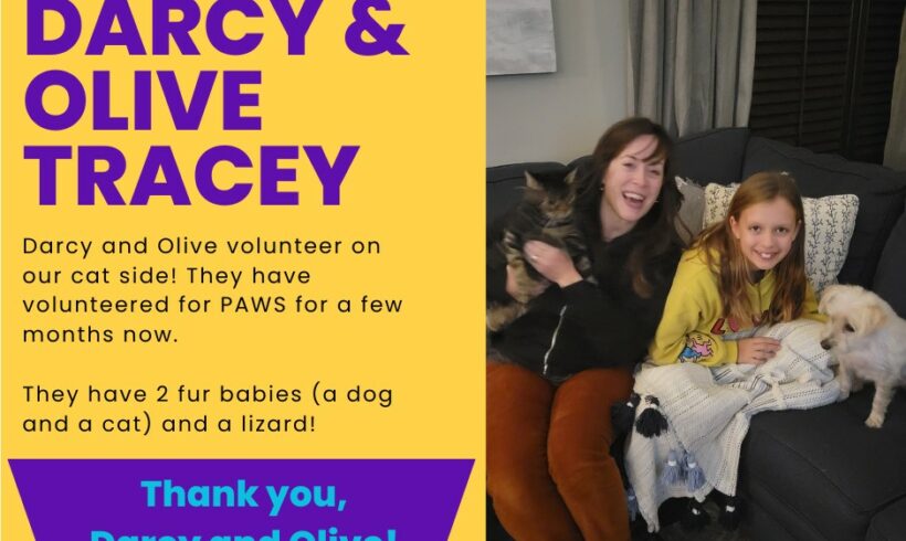 Darcy & Olive Tracey