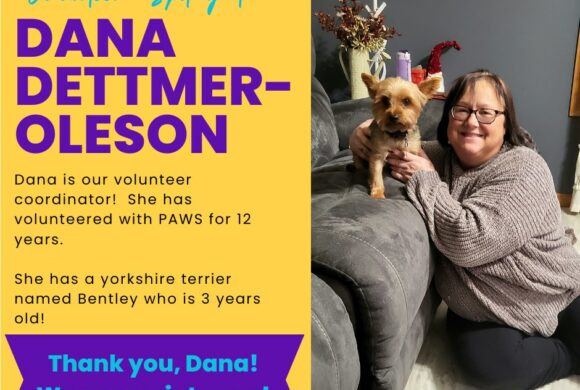 Dana Dettmer-Oleson Dana Dettmer-Oleson
