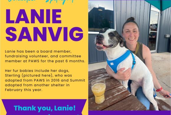 Lanie Sanvig Lanie Sanvig