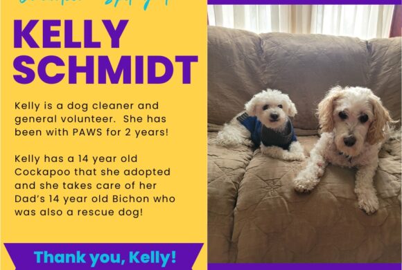 Kelly Schmidt Kelly Schmidt