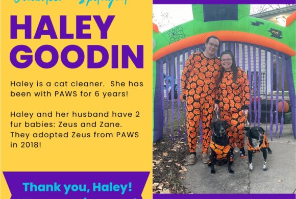 Haley Goodin Haley Goodin