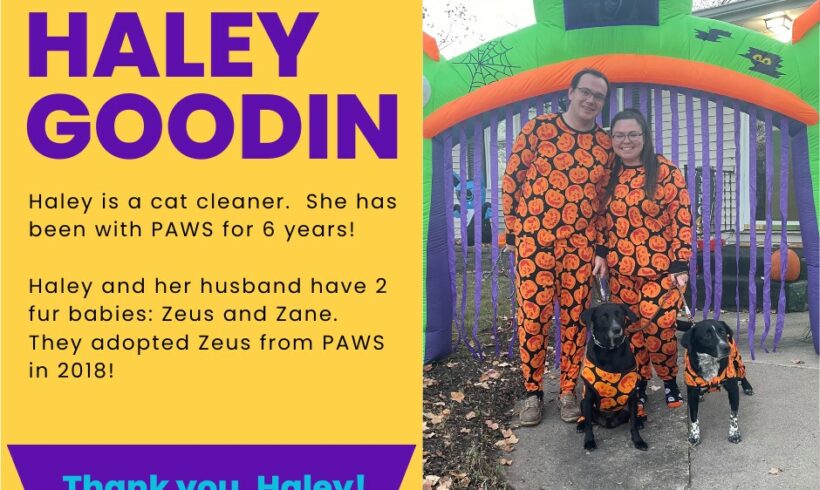Haley Goodin