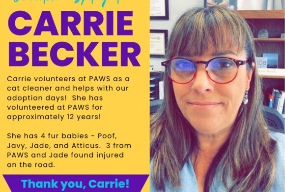 Carrie Becker Carrie Becker