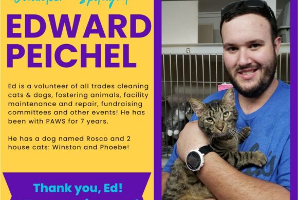 Edward Peichel Edward Peichel