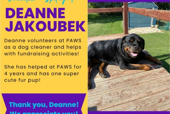 Deanne Jakoubek Deanne Jakoubek